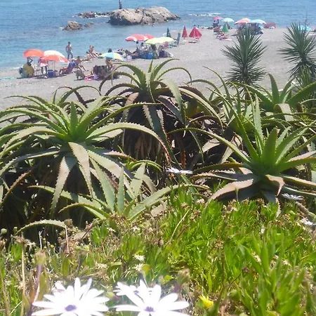 2111-beautiful Groundfloor With Garden Sea View Apartment